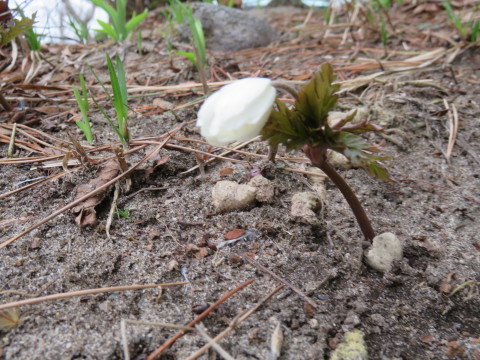 b0238249_09464411.jpg