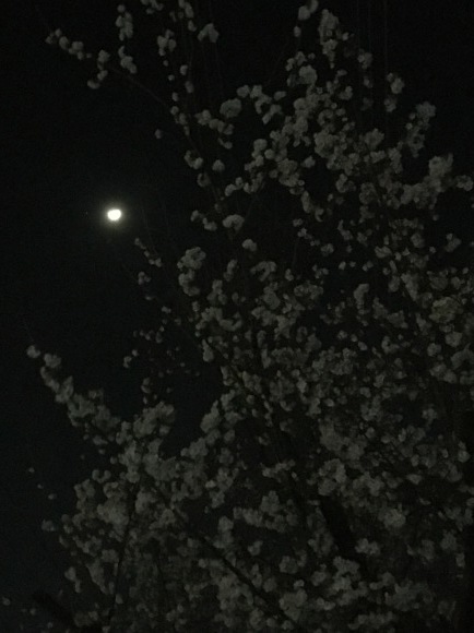 d0224253_19315944.jpeg