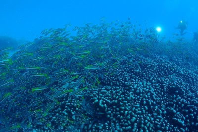 e0154157_22161010.jpg