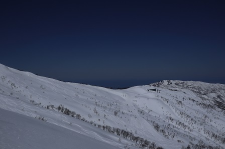 a0208560_12345710.jpg