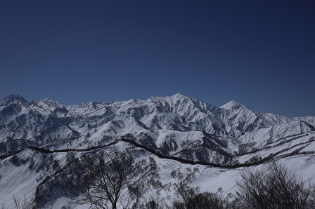 a0208560_12350821.jpg