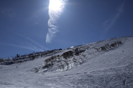 a0208560_12352290.jpg