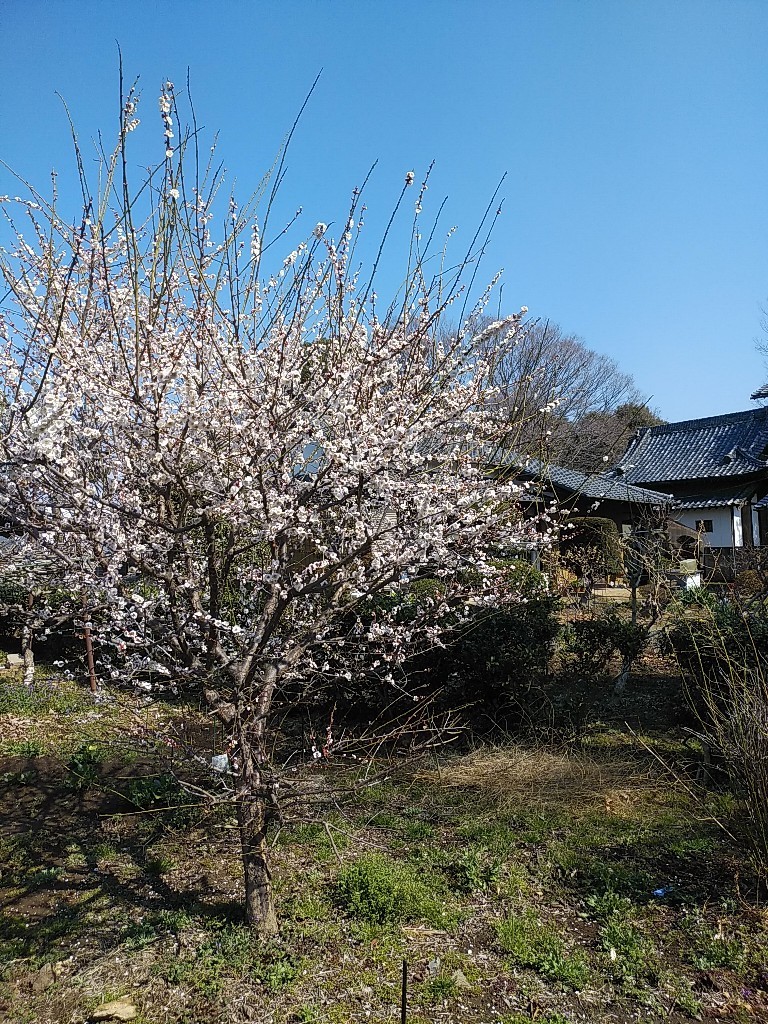 b0059860_16050736.jpg