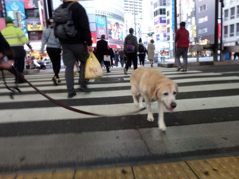 親が死んでも食休み、、_f0052277_02551401.jpg