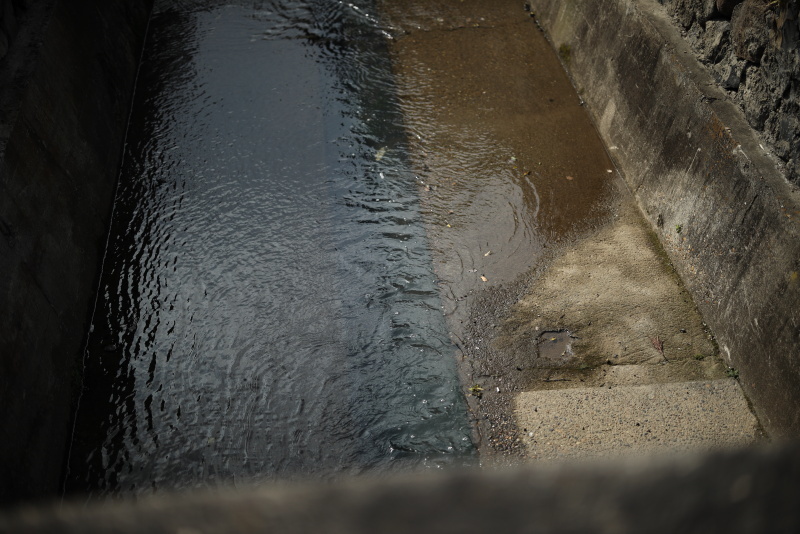 f0167977_04025514.jpg