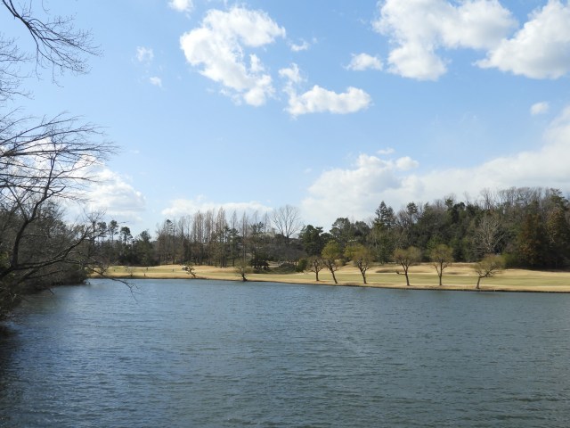 f0378979_19363653.jpg