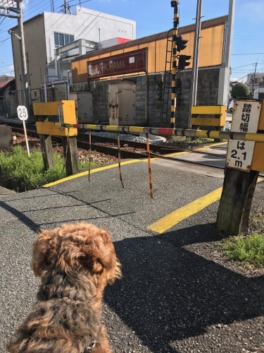 a0216583_23280821.jpeg