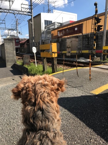 a0216583_23281283.jpeg