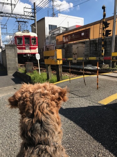 a0216583_23281661.jpeg