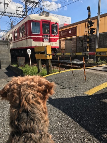 a0216583_23282123.jpeg