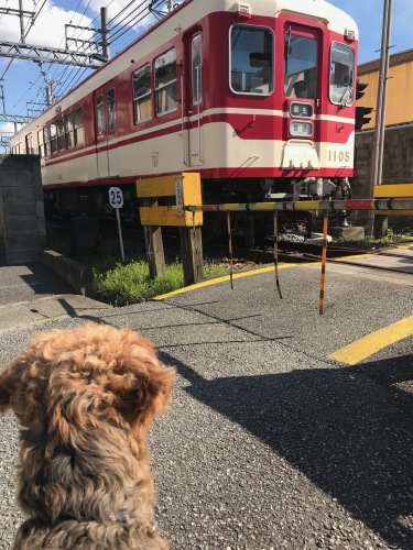 a0216583_23282529.jpeg