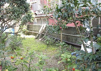 f0003283_09134745.jpg