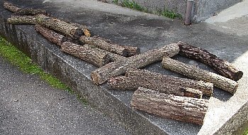 f0003283_09135008.jpg