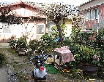 f0003283_09135364.jpg