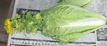 f0003283_09135826.jpg