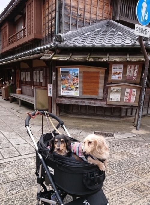 伊勢神宮～鳥羽　2019.2/19～21_a0225693_14183082.jpg