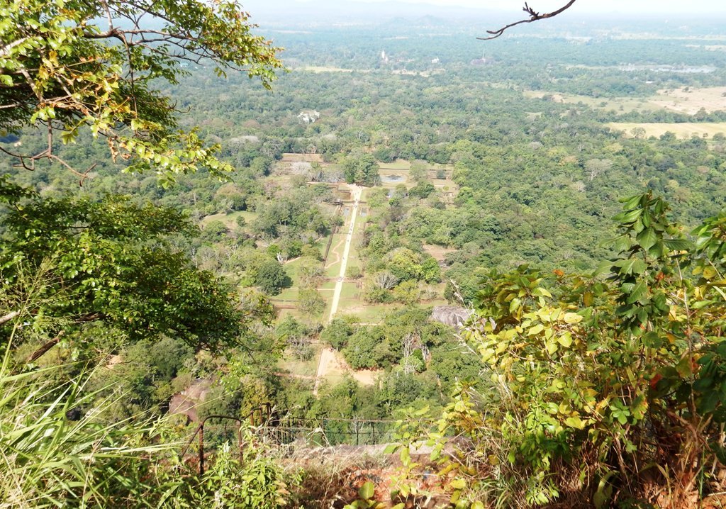 d0102495_16441256.jpg