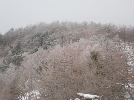 霧氷の朝_e0120896_10110116.jpg