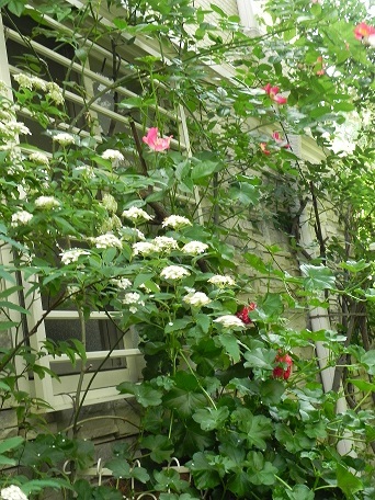 c0152002_20413123.jpg