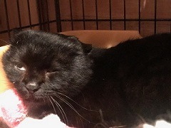 f0242002_10491340.jpeg