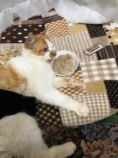 ニコニコ通信 -vol.1-_f0242002_10505363.jpg