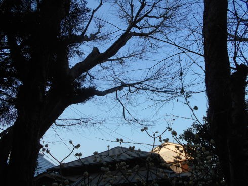 f0083803_17410930.jpg