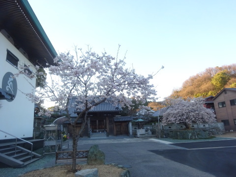 f0231709_03132260.jpg