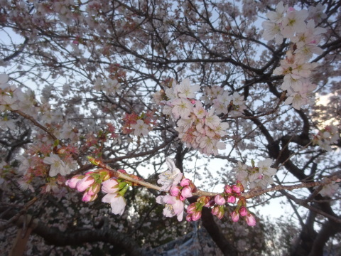 f0231709_03173548.jpg