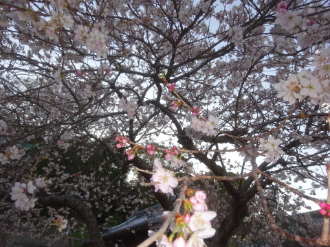 f0231709_03175657.jpg
