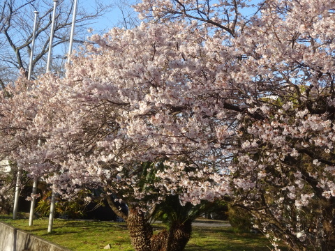 f0231709_03473248.jpg