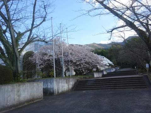 f0231709_04031396.jpg