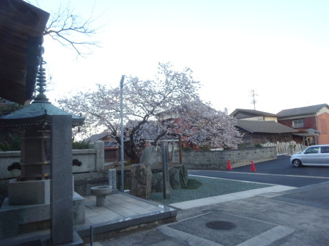 f0231709_04102069.jpg