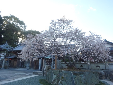 f0231709_04140183.jpg