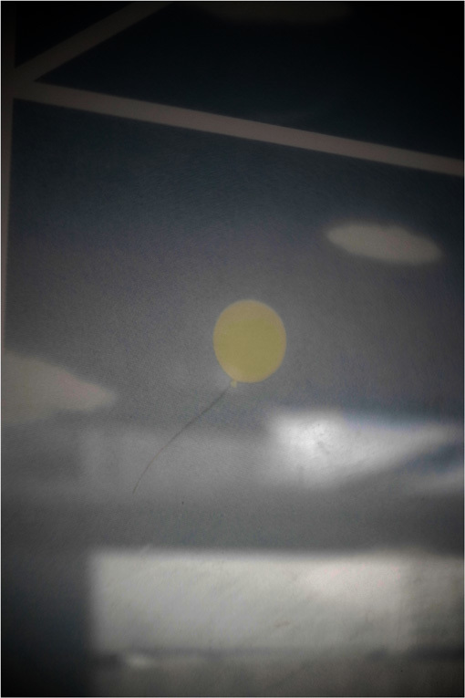 b0226423_20381694.jpg