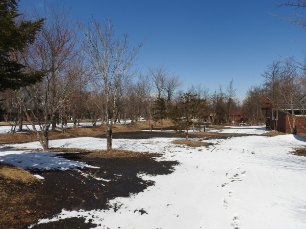 b0174425_14224114.jpg
