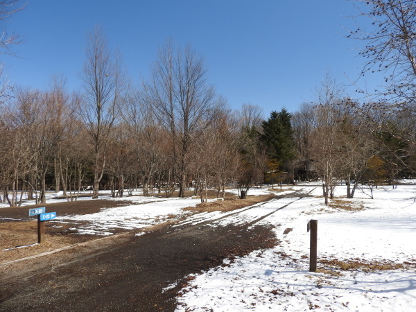 b0174425_14244912.jpg