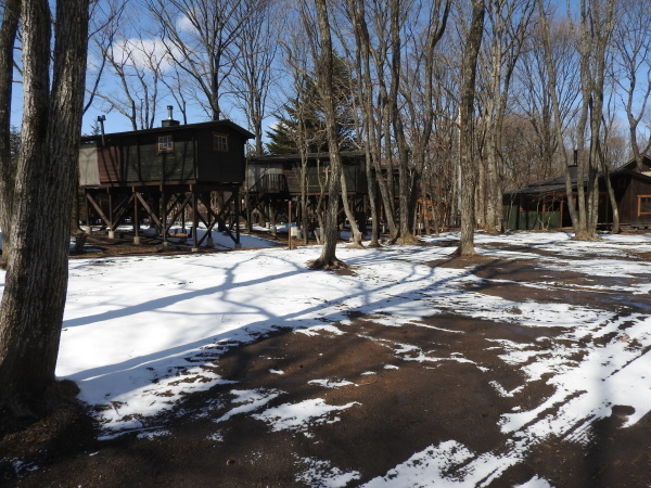 b0174425_14250071.jpg
