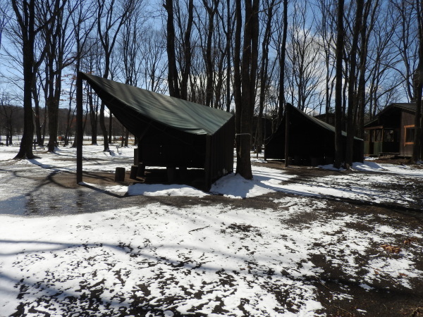 b0174425_14250887.jpg