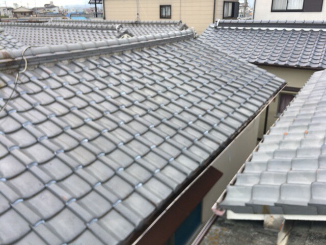 f0125927_20132419.jpeg