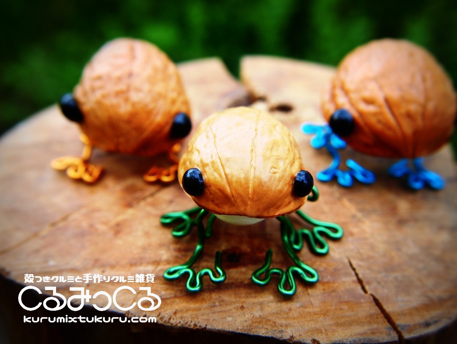 クルミのカエル くるっケロ : くるみ農家がはじめた殻つきクルミと胡桃