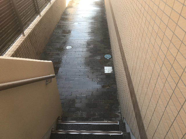 7日目 作業終了_f0031037_16294839.jpg