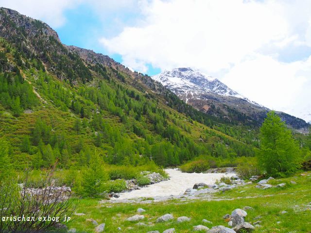 モルテラッチ氷河＠スイス旅行_f0295238_16331586.jpg