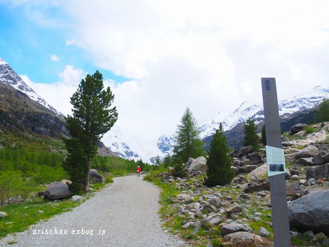 モルテラッチ氷河＠スイス旅行_f0295238_16341751.jpg