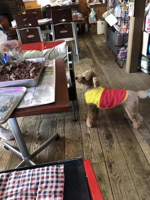 b0369239_12083551.jpeg