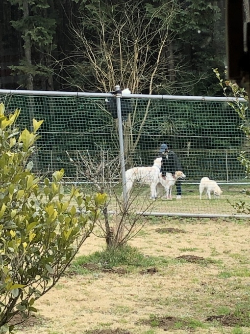 b0369239_12085117.jpeg