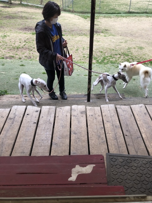 b0369239_12090432.jpeg