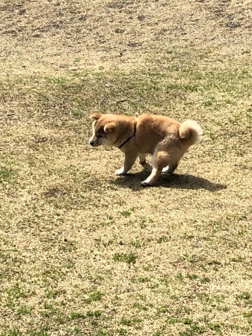 b0369239_12092758.jpeg