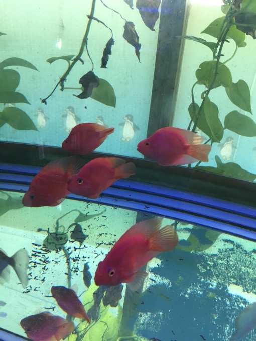 f0212047_20592531.jpeg