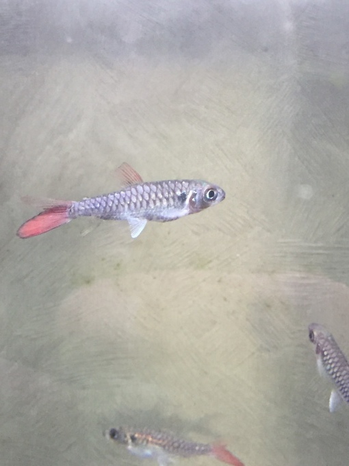 f0212047_20593939.jpeg