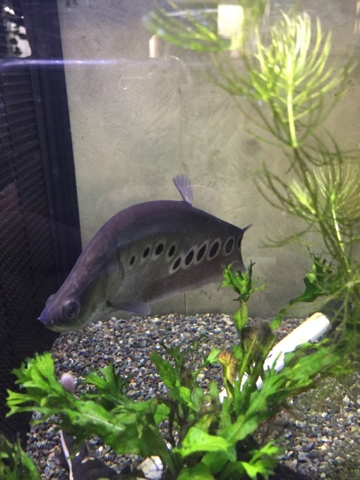 f0212047_20594898.jpeg